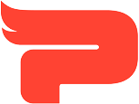 Playwing logo